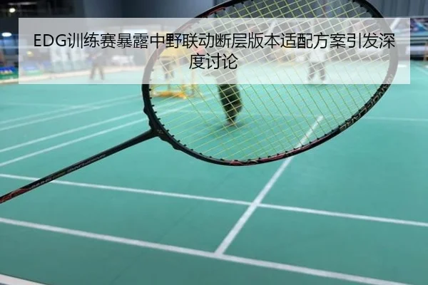 EDG训练赛暴露中野联动断层版本适配方案引发深度讨论