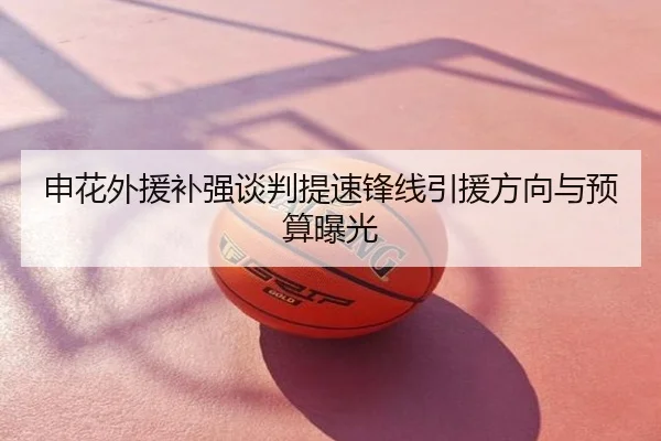 申花外援补强谈判提速锋线引援方向与预算曝光